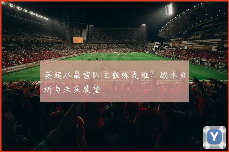 英超水晶宫队主教练是谁？战术分析与未来展望