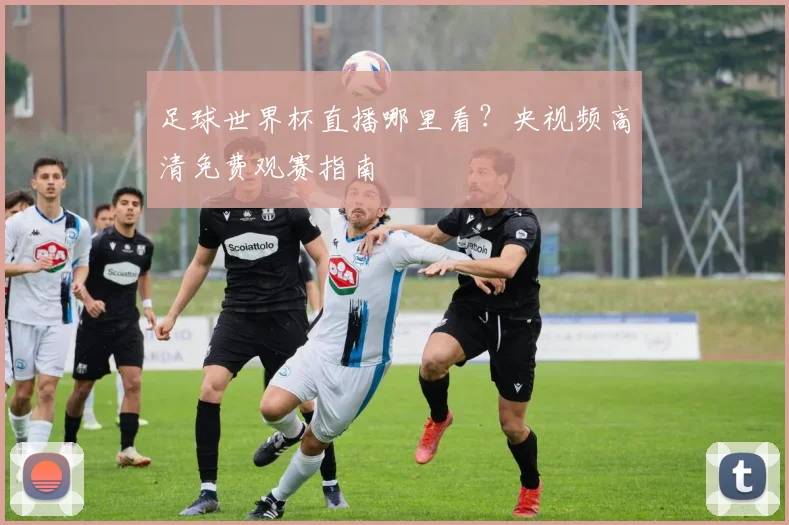 足球世界杯直播哪里看？央视频高清免费观赛指南